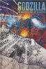 GODZILLA THE MONSTER COMIC ART COLLECTION HC [9798887243740]